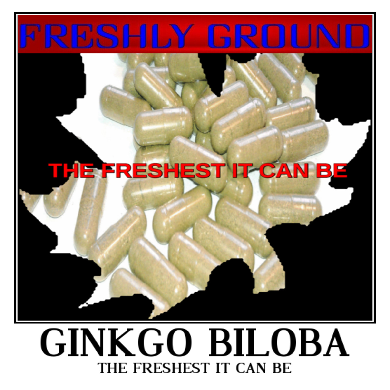 GINKGO BILOBA LEAF High Potency The Freshest It Can Be 100 Vegetarian Capsules