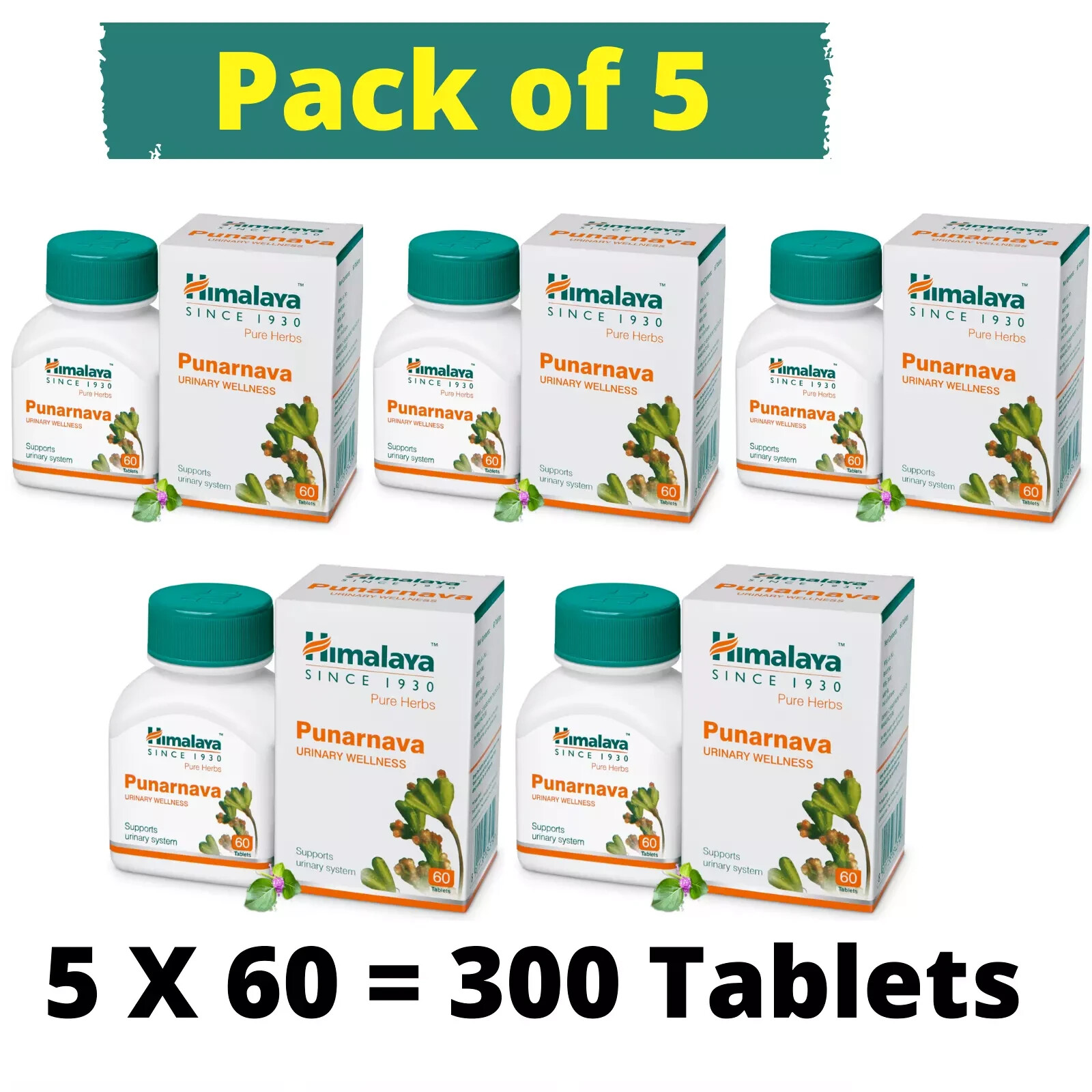 Himalaya HERBAL Punarnava Supports Urinary System 5 Boxes 2026 Exp FREE SHIP
