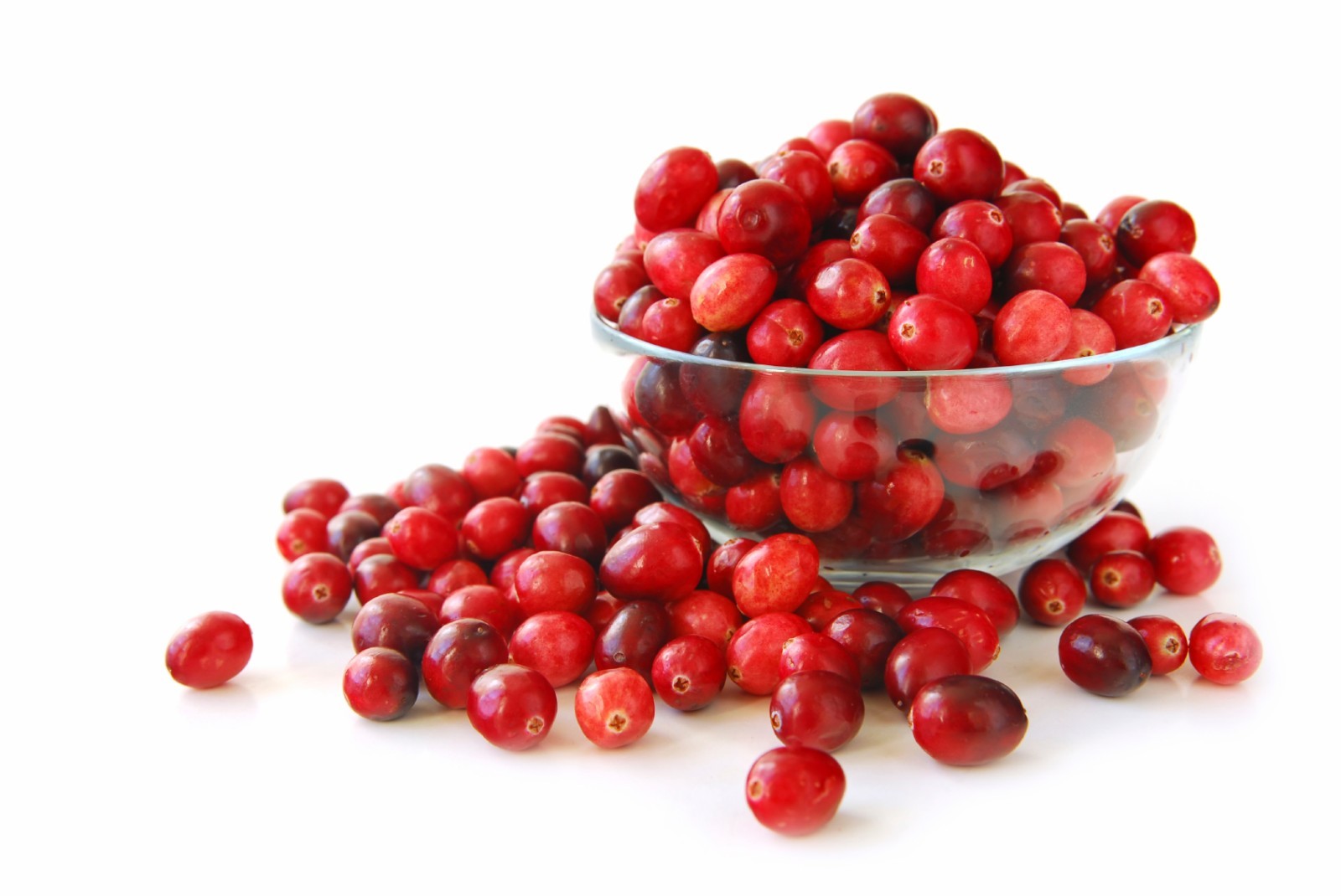 Concentrated Cranberry Extract – 252mg – Tract Bladder Help – 1B