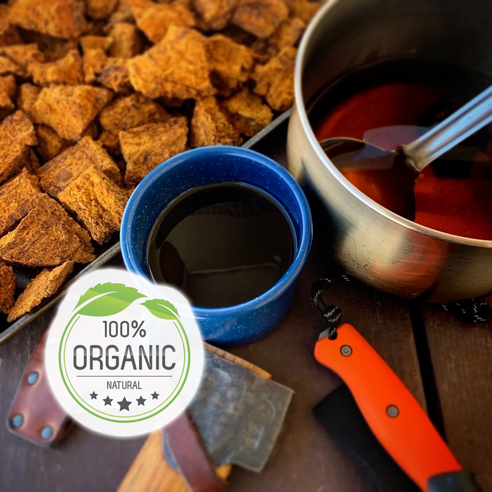 Wild Organic Alaska Dried Chaga Mushroom Chunks Tea Antioxidants