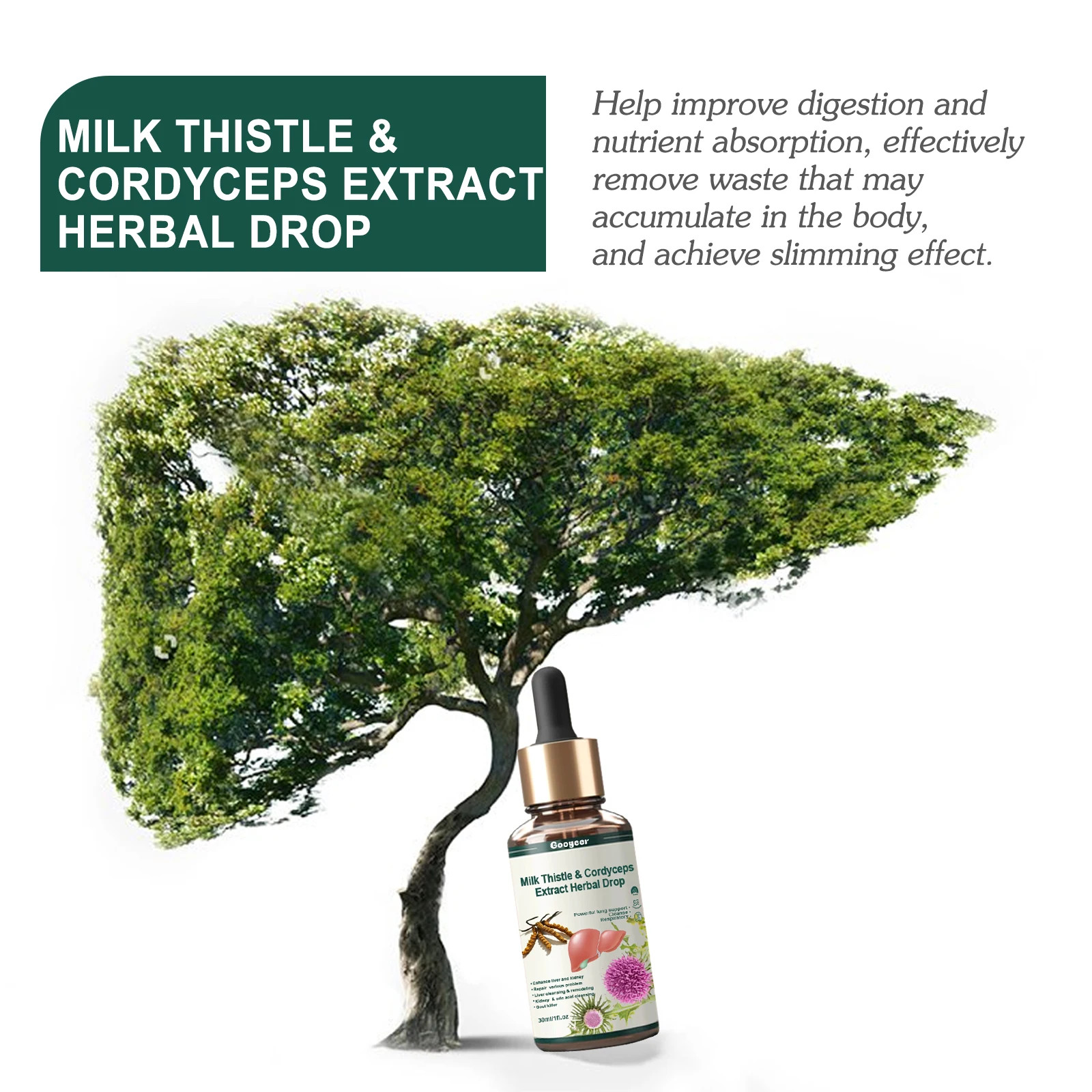 Googeer 30ml Cordyceps Sinensis Herbal Drops Milk Thistle Energy Support
