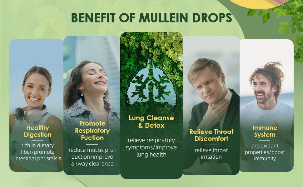 Mullein Drops Leaf Extract for Immune Support, Detox & Respiratory Support