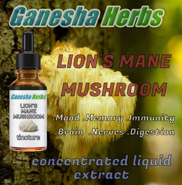 LION’S MANE MUSHROOM High Potency 20:1 Extract Liquid Tincture 2 ounces