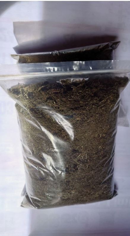 120g Dried Red Jatropha Curcas Leaves Powder – Ratanjot Laljari Yatilung Jadi