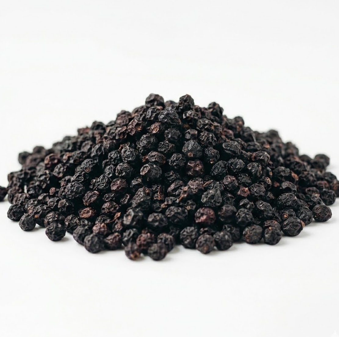 Elderberry (Sambucus nigra) Immune Support – Classic Herb – USA