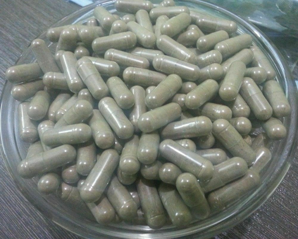 Bacopa Monnieri Extract Capsules Standardized to 50% Bacosides