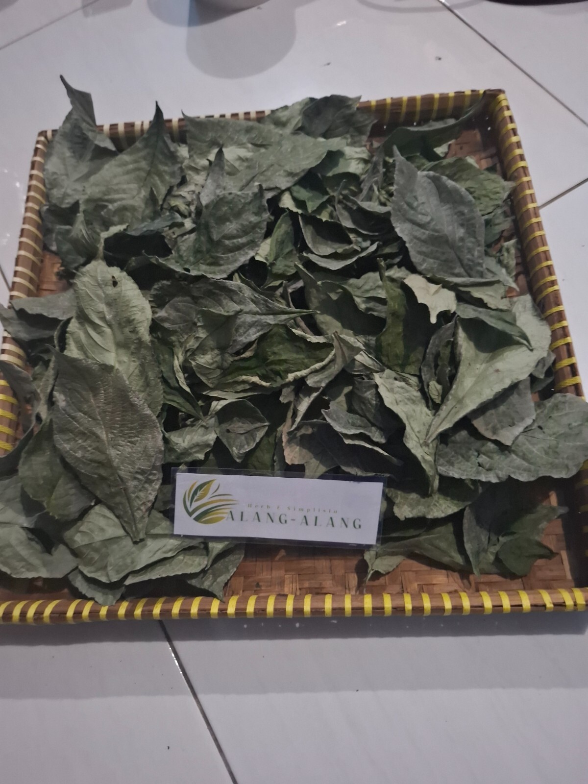 Daun Keji Beling ( Strobilanthes Crispus ) Black Face General Dried Leaves