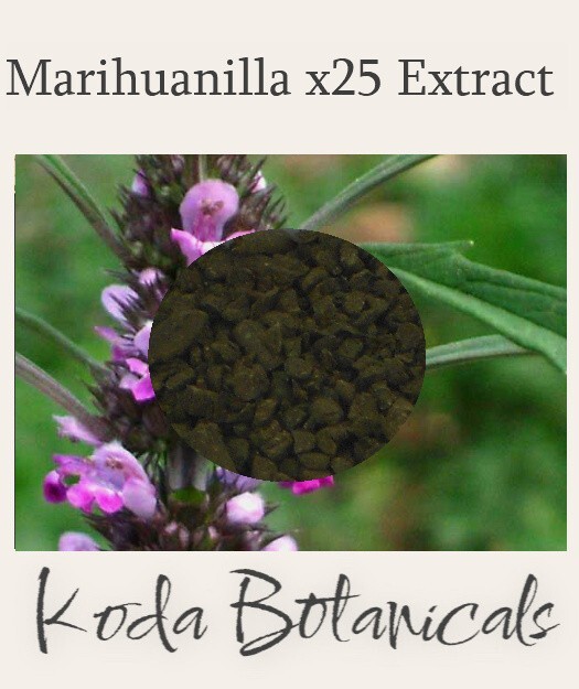 MARIHUANILLA 25:1 EXTRACT GRANULE 3.5g Leonurus sibiricus x25 Stronger Than Herb