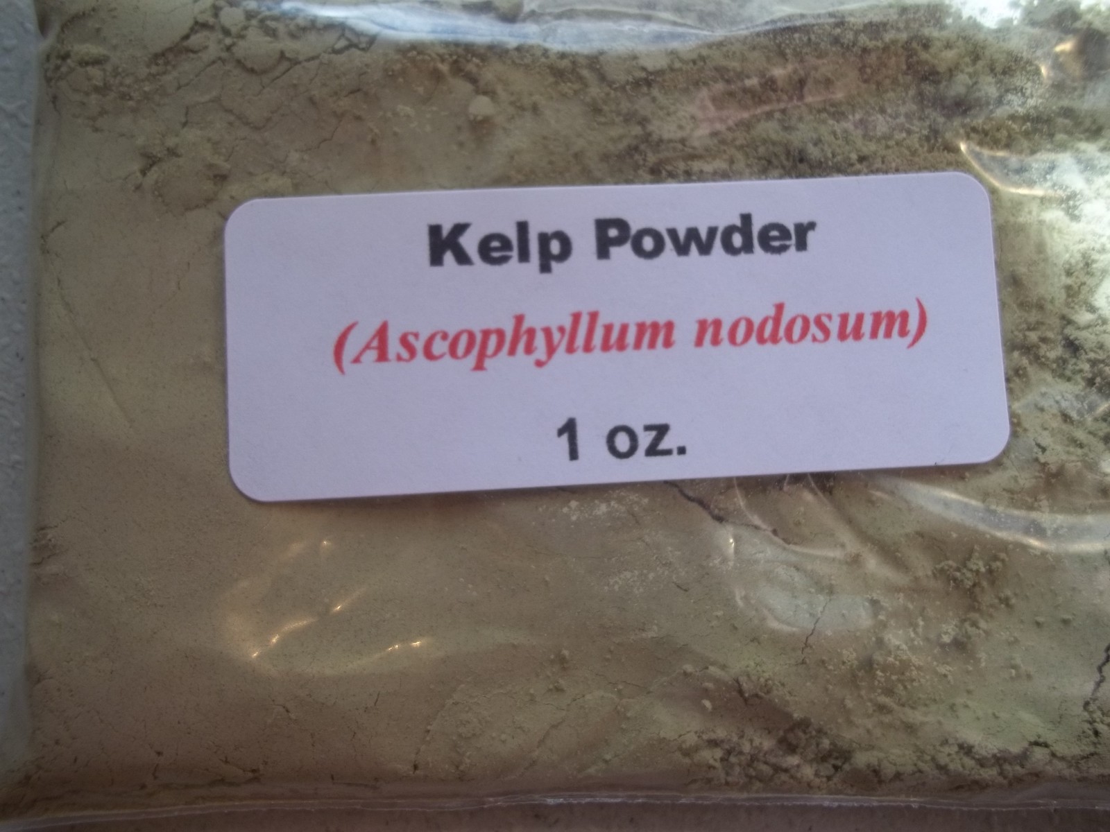 1 oz. Kelp Powder (Ascophyllum nodosum)