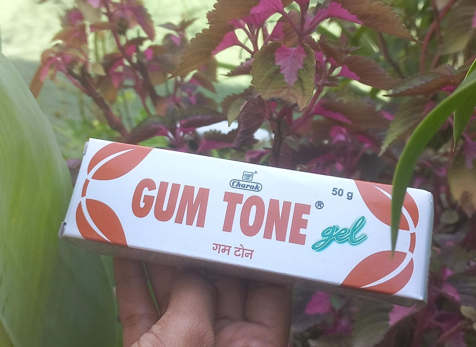 50 gm Gum Tone Gel from Charak Herbal Tooth Paste Ayuveda Bleeding Gums 2027