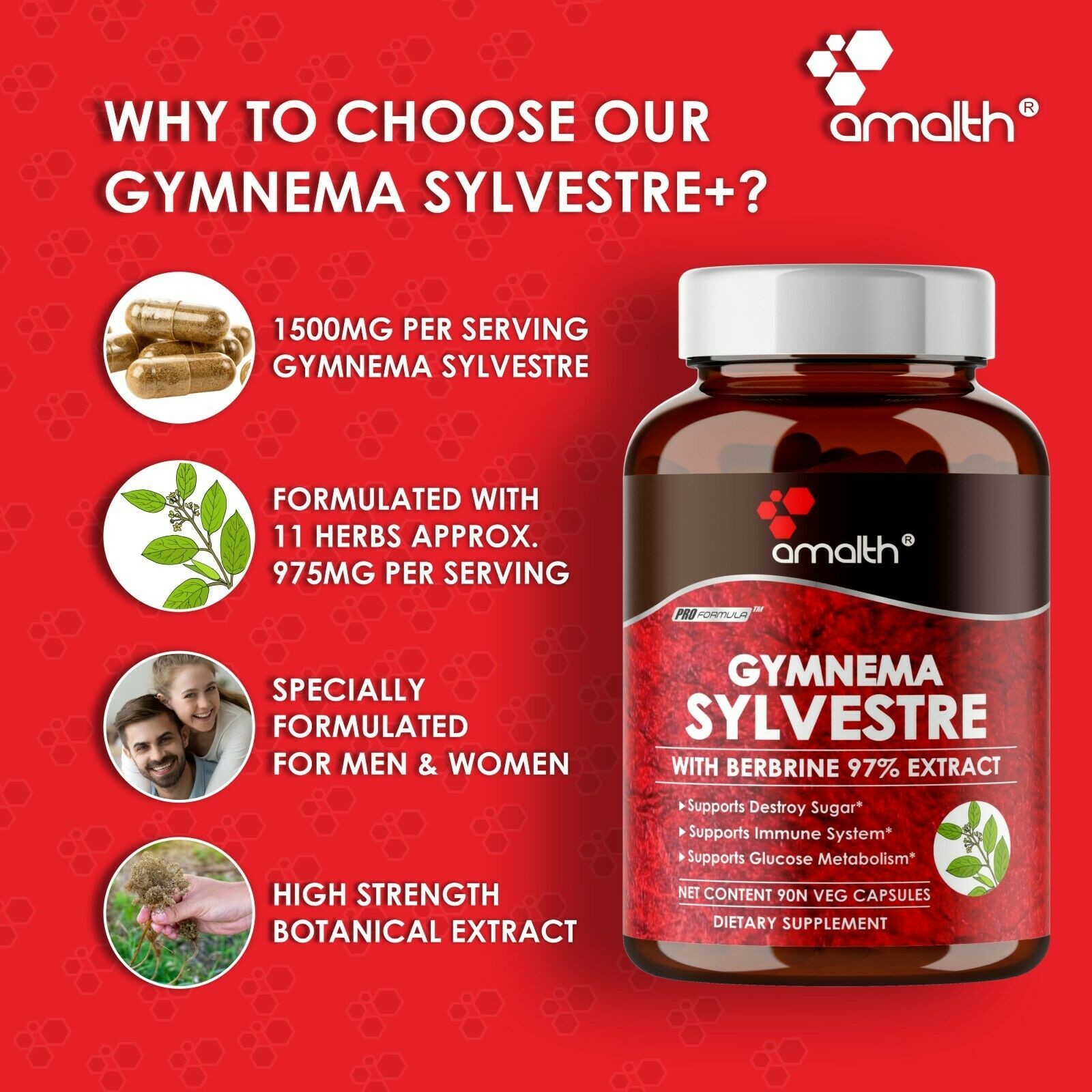 Gymnema Sylvestre Extract Plus 12 Premium Herbs Blood Sugar 2025mg 90 Capsules