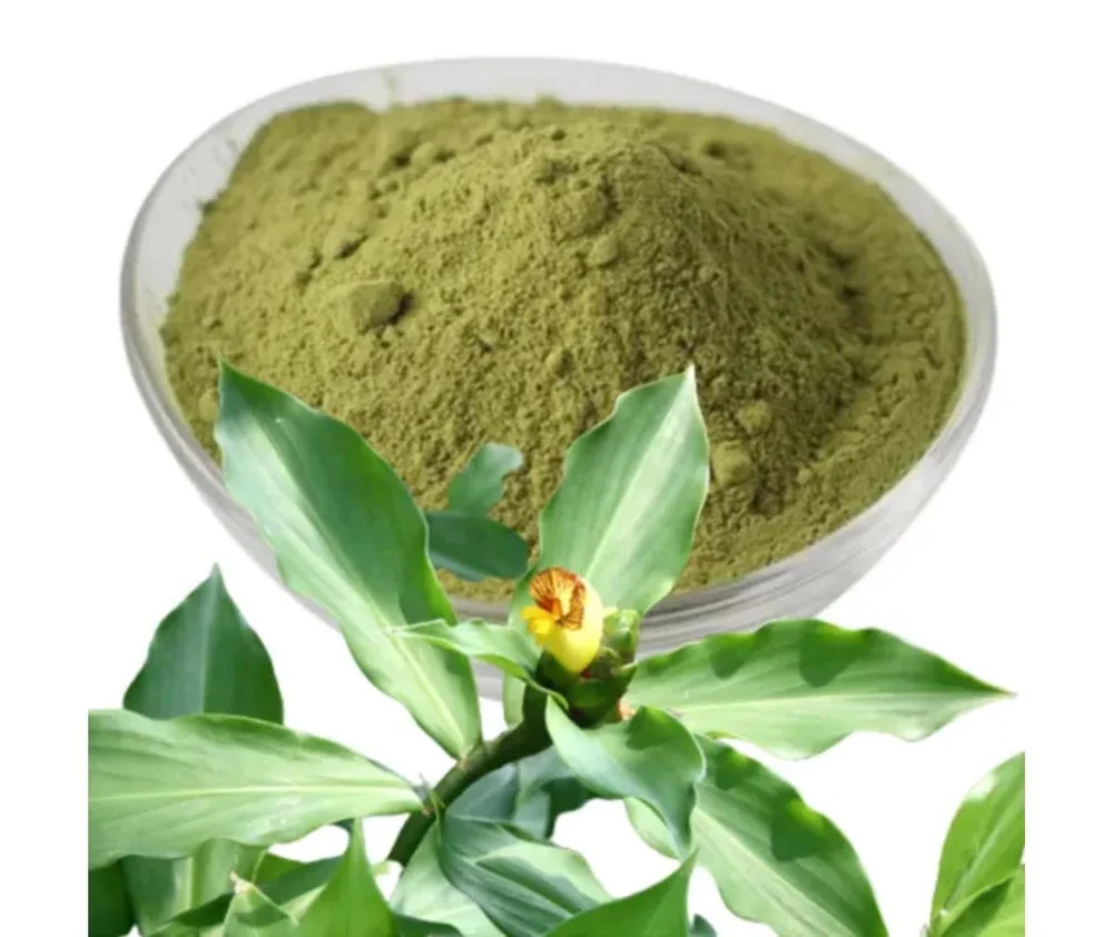 Insulin Leaf Powder – Chamaecostus Cuspidatus