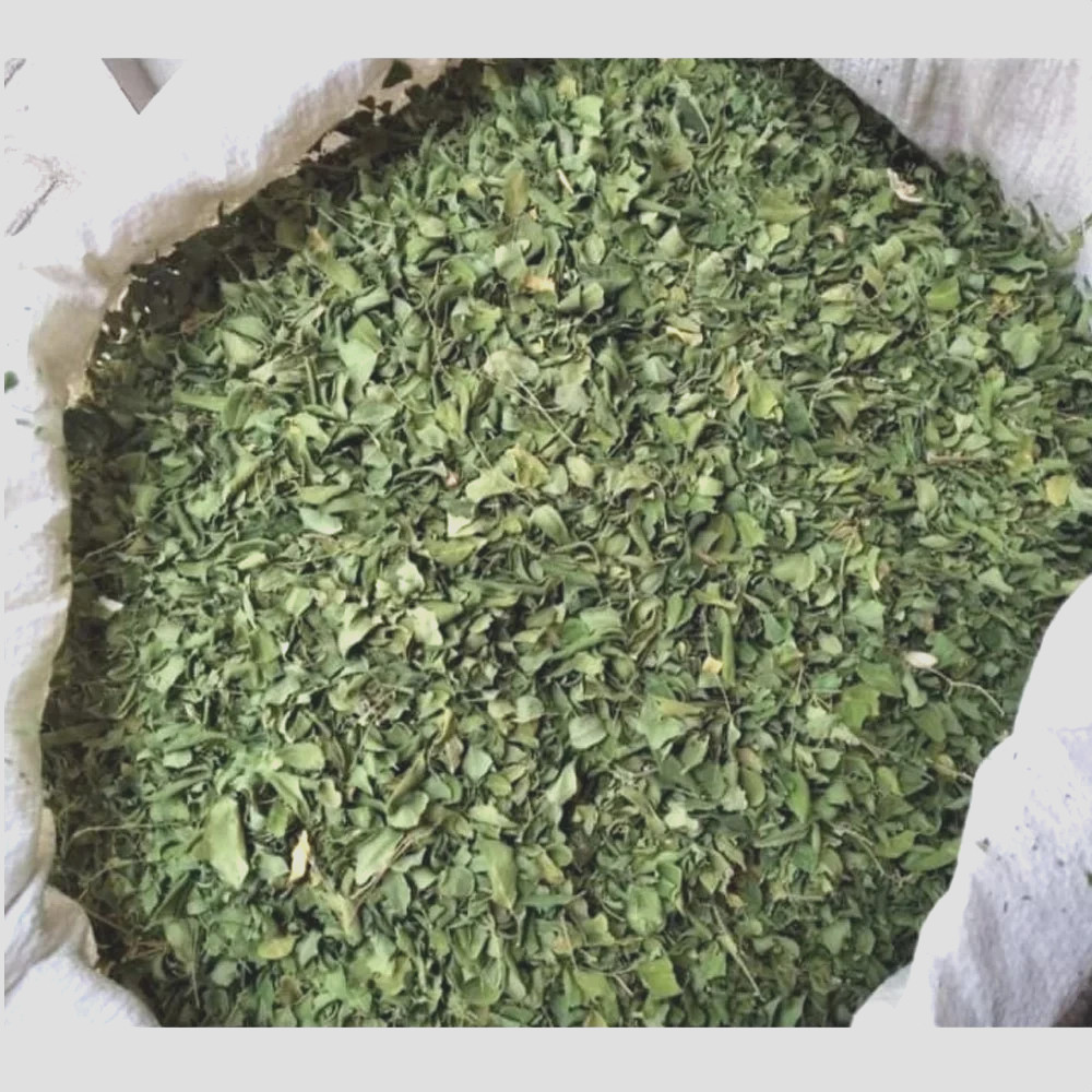 Moringa Leaf Wild Crafted Dried Cut ~ Moringa Oleifera ~ 100% Premium