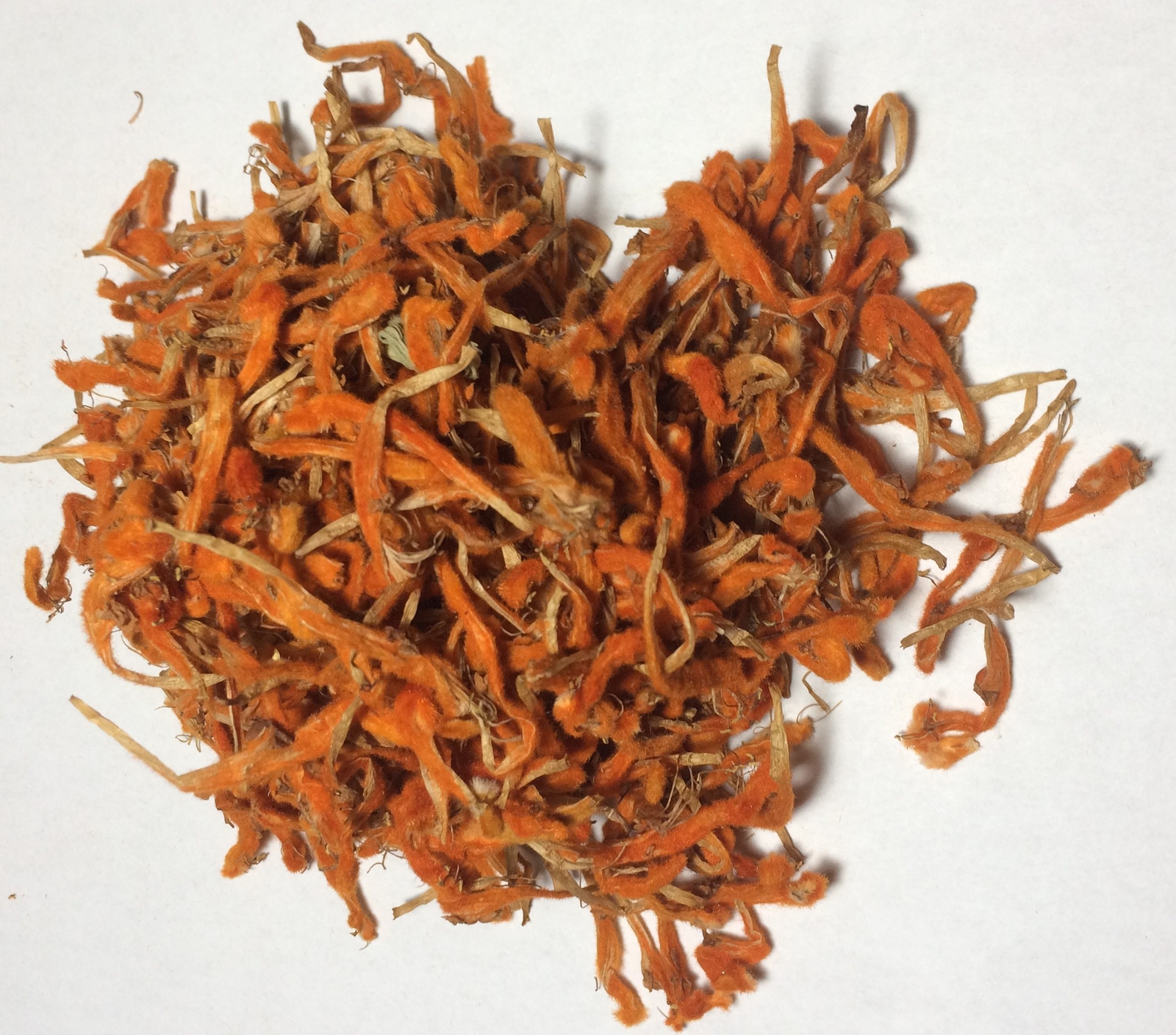 Wild Dagga Flower Petals (Leonotis leonurus) Wildharvested South Africa 2 oz….