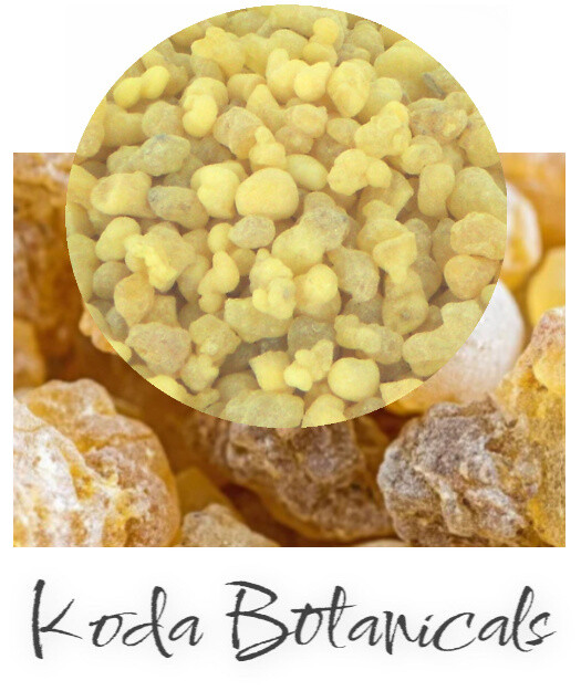 FRANKINCENSE RESIN Herbal Remedy PREMIUM GRADE Boswellia carteri Dried Resin