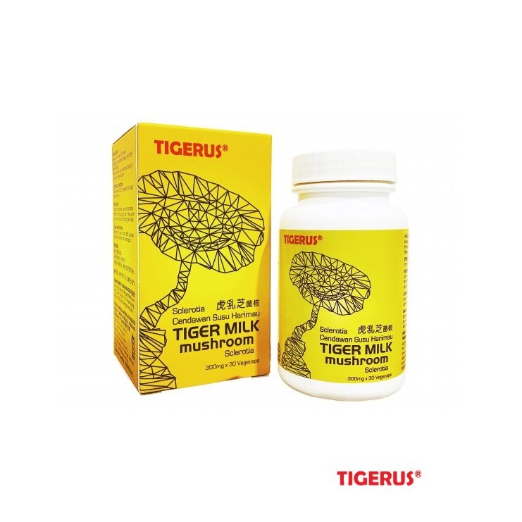 5 X ORIGINAL TIGERUS Tiger Milk Mushroom Sclerotia 60’s NEW & HALAL FREE SHIP