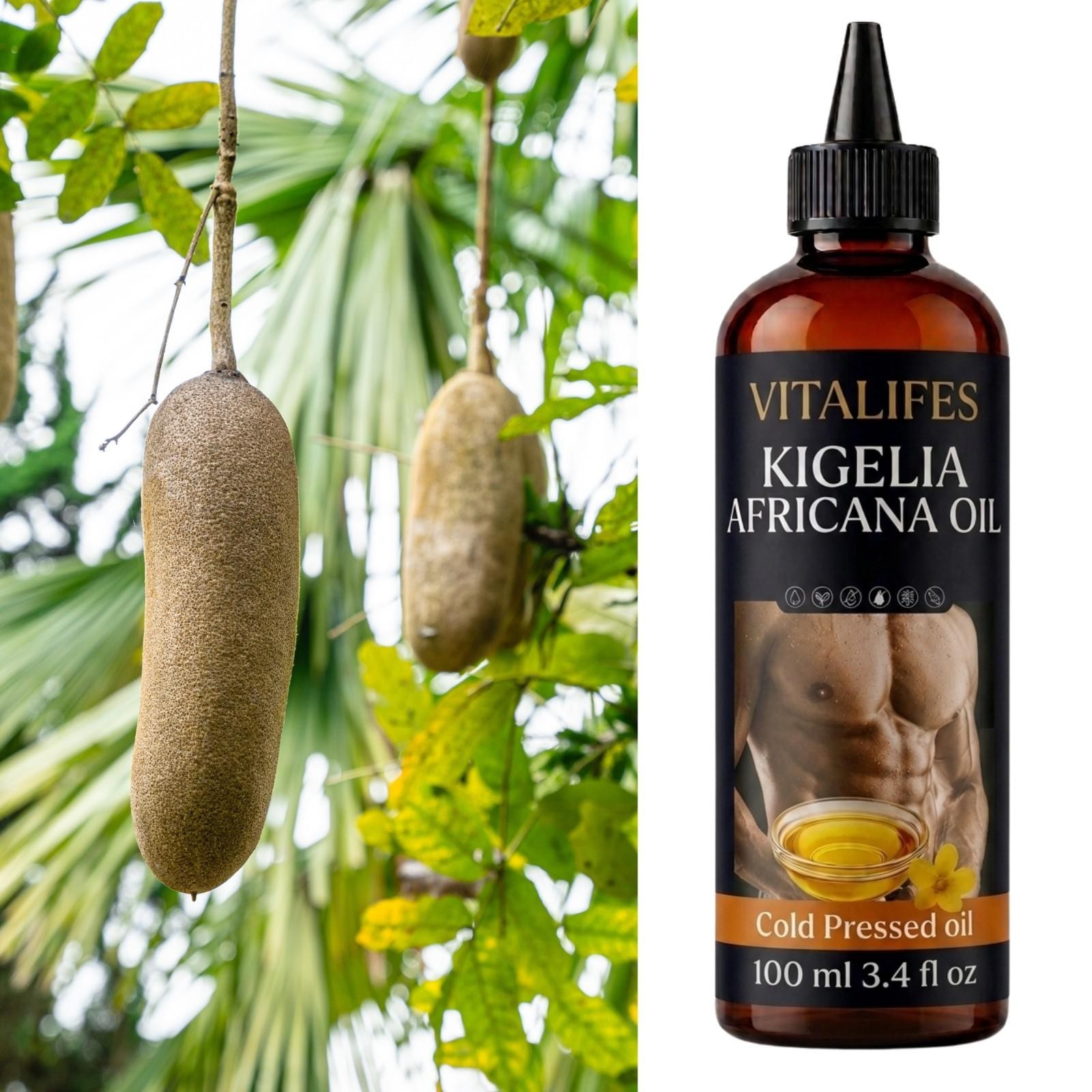 Kigelia Africana Male Enlargement – Female breast & Butt enhancer 100% Natural