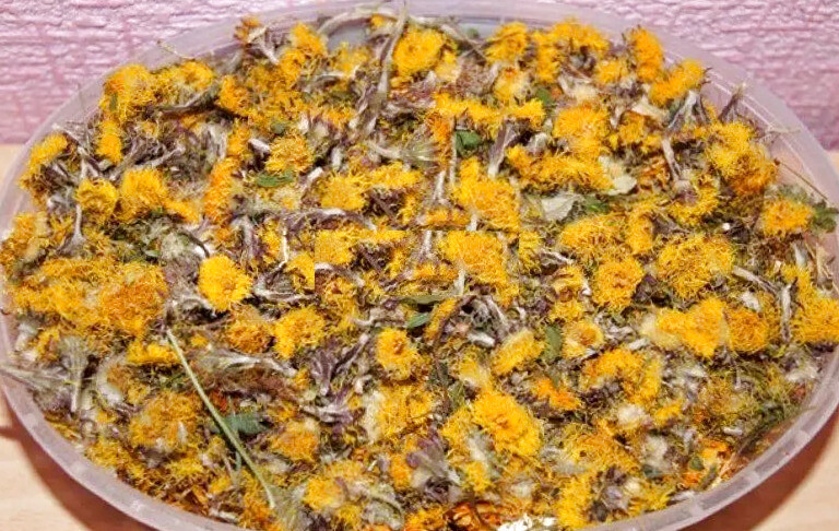 Coltsfoot Flower dried ( Tussilago farfara ) ORGANIC from Carpathian mountain.