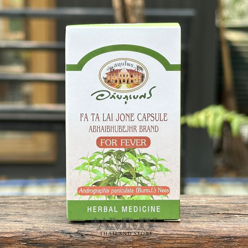 ANDROGRAPHIS PANICULATA ABHAIBHUBEJHR BRAND FOR FEVER 400MG x2