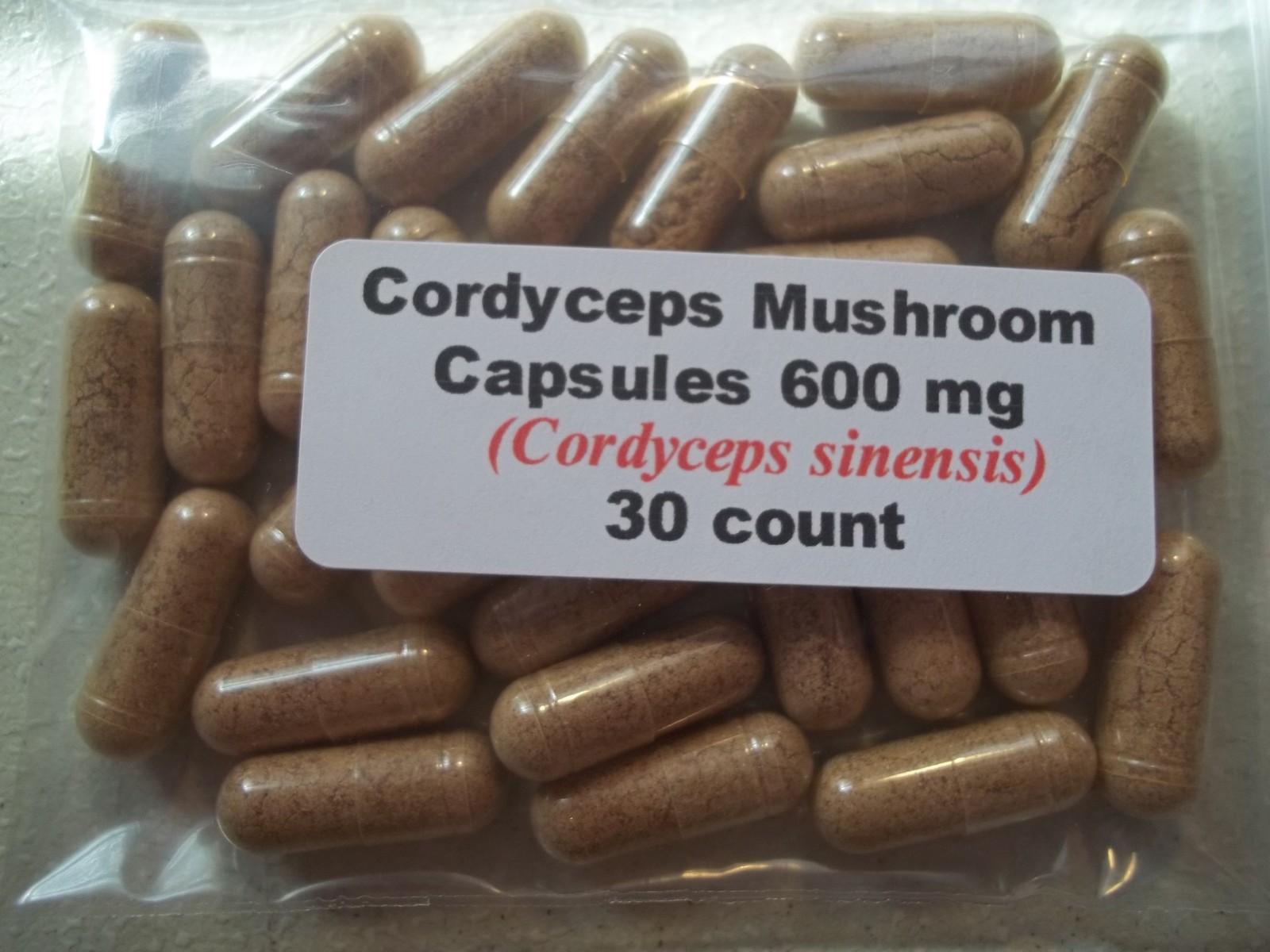Cordyceps Mushroom Powder Capsules (Cordyceps sinensis) 600 mg – 30 Count