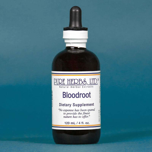 Pure Herbs: Blood Root (Red Root) – 4 oz.