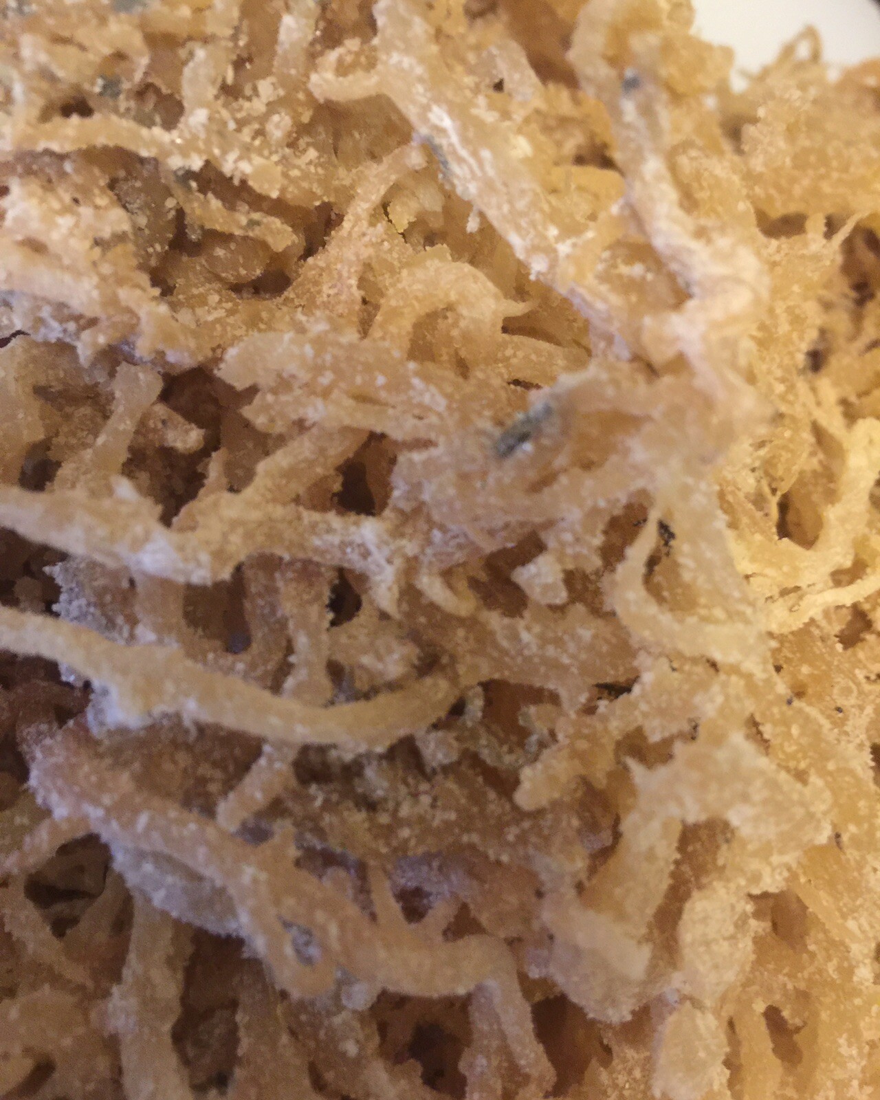 Sea Moss, Irish Moss West Indian Herbs 2 Lbs. Natural and fresh. Quality Brand.
