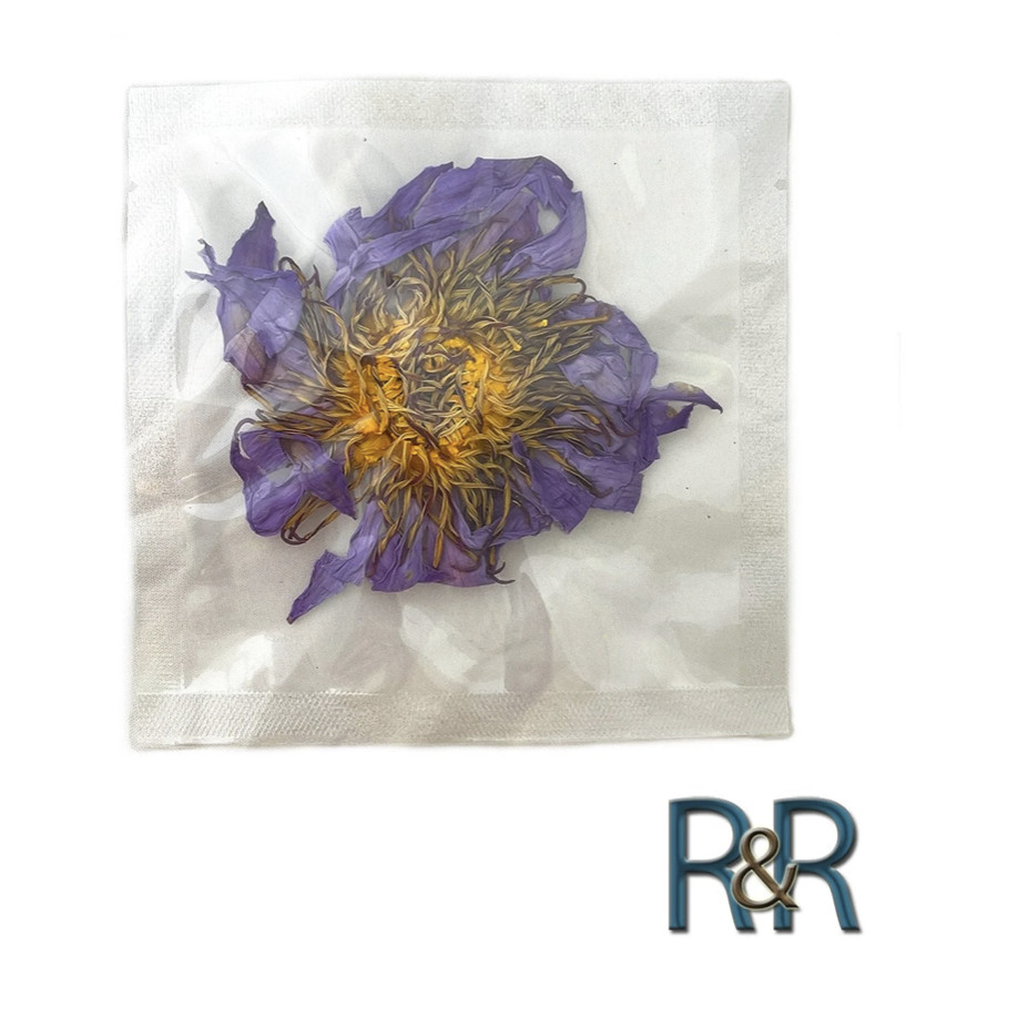 Organic Whole Blue Lotus Flower Sealed Packs Nymphaea caerulea) 3 x Pack #1 Ebay