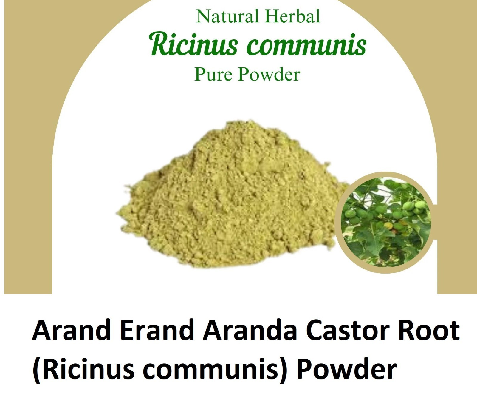 Arand Erand Aranda Castor (Ricinus communis) Powder 100% Purest