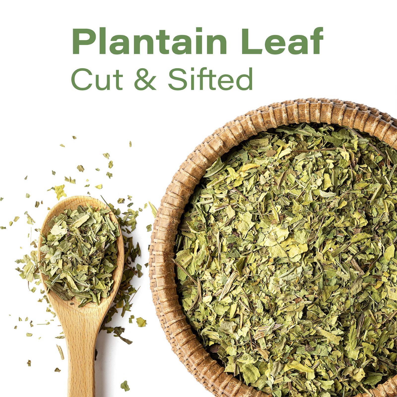 Plantain Leaf Tea (Plantago Major) – Dried Loose Leaf Herb – Cut & Sifted