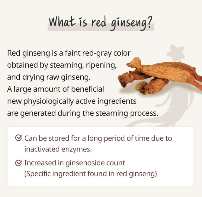 ATOMY Korean Red Ginseng Extract Stick 15g x 30ea Daily Red Ginseng Pouch NEW
