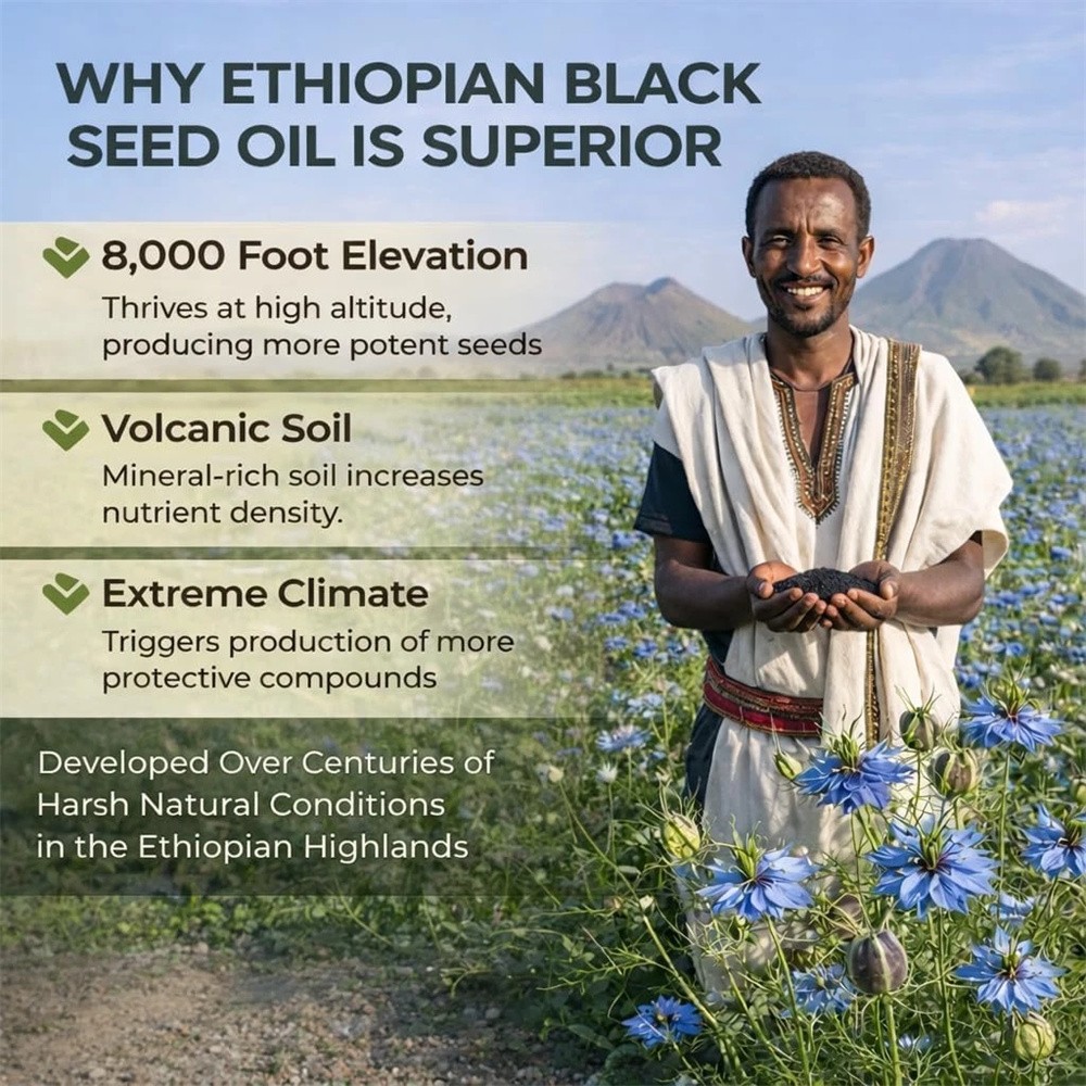Ethiopian Black Seed Oil Softgels |4.64% Thymoquinone | Non-Gmo, Gluten-Free,60