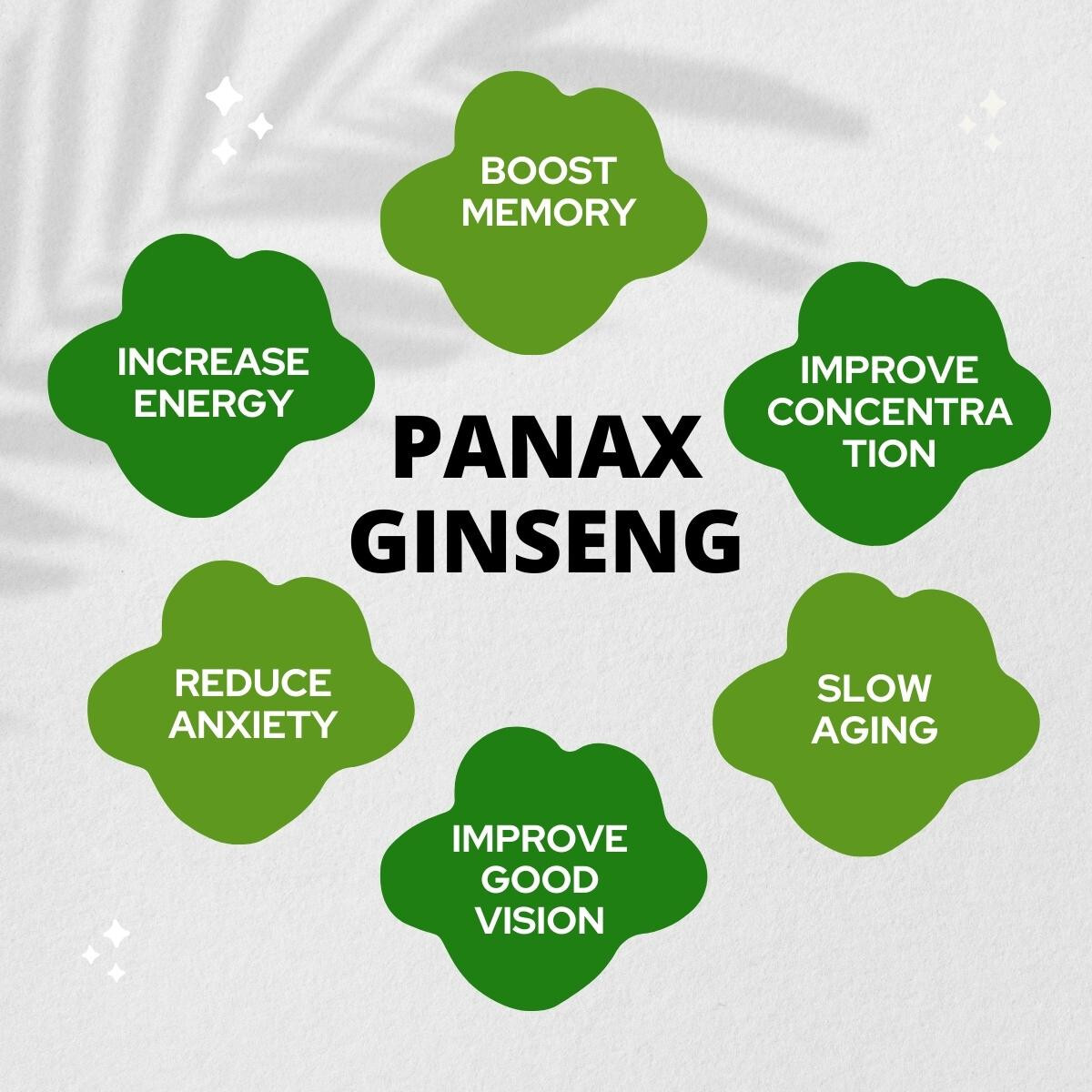 4 x 60 Korean Red Panax Ginseng Extract Root Ginsenosides 500mg Capsule