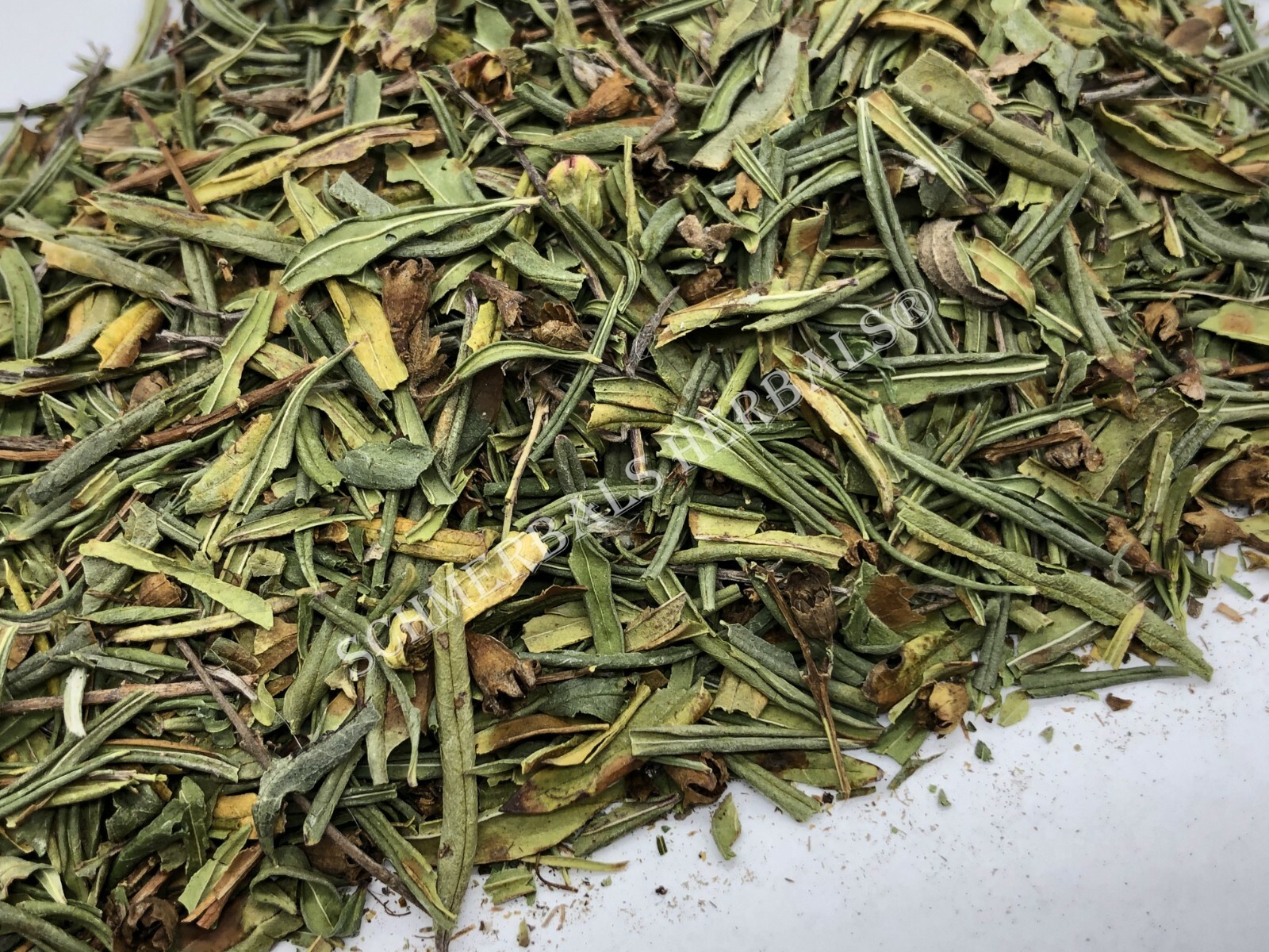 Sun Opener, Heimia salicifolia, All Natural Leaf ~ Schmerbals Herbals
