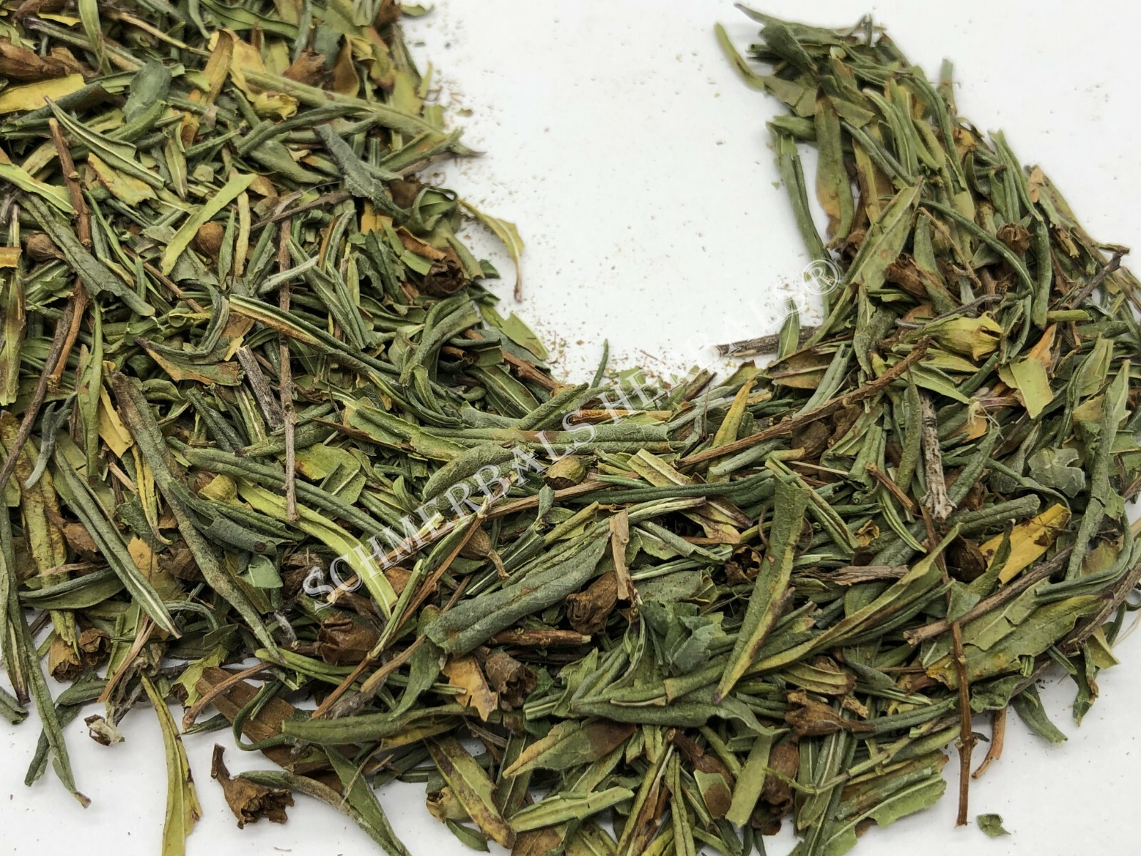Sun Opener, Heimia salicifolia, All Natural Leaf ~ Schmerbals Herbals