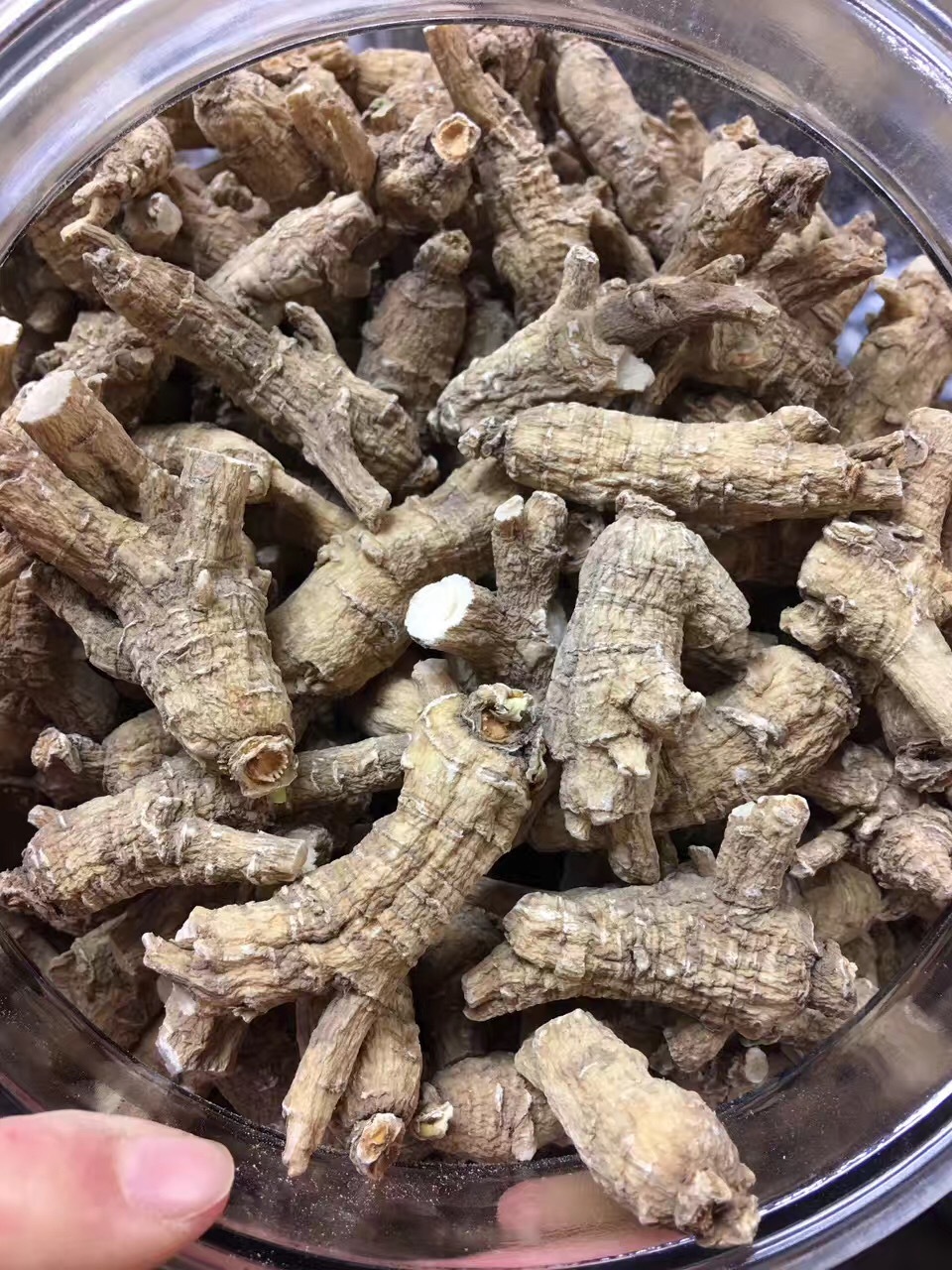 Half Wild American Wisconsin 7 years Ginseng 正宗美国威州半野生花旗参(7年中泡参)-U.S Seller