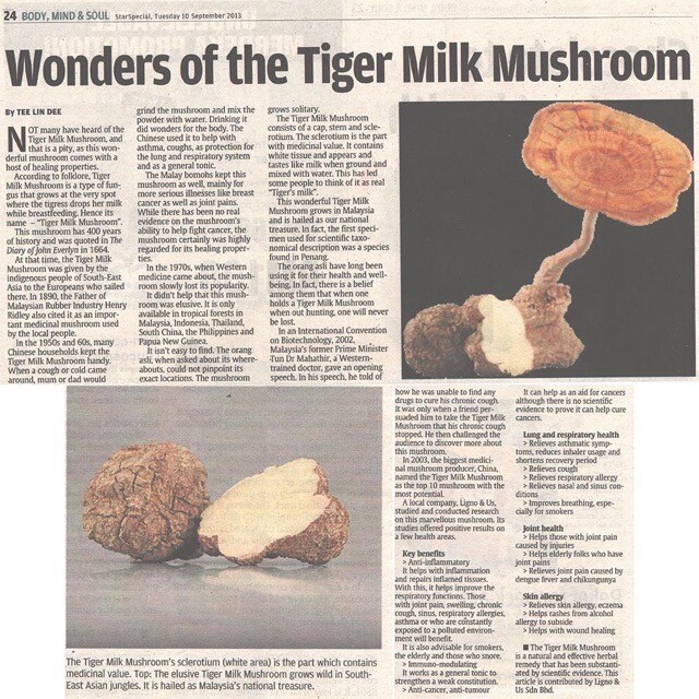 5 X ORIGINAL TIGERUS Tiger Milk Mushroom Sclerotia 60’s NEW & HALAL FREE SHIP