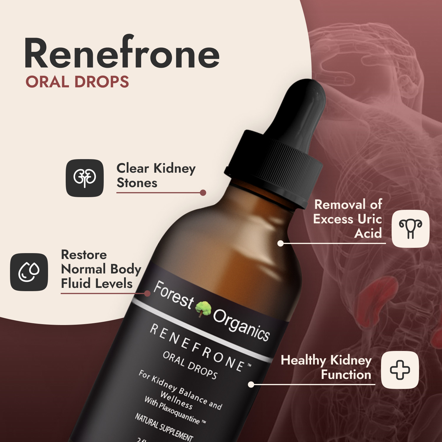 Kidney Health Support Supplement Kidney Detox Drops & Support Kidney Function