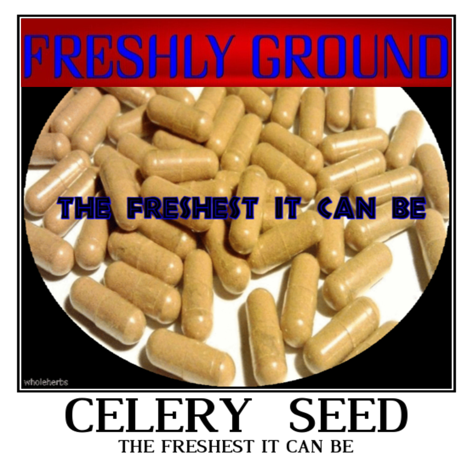 CELERY SEED Powder The Freshest It Can Be Fresh Ground 100 V Capsules