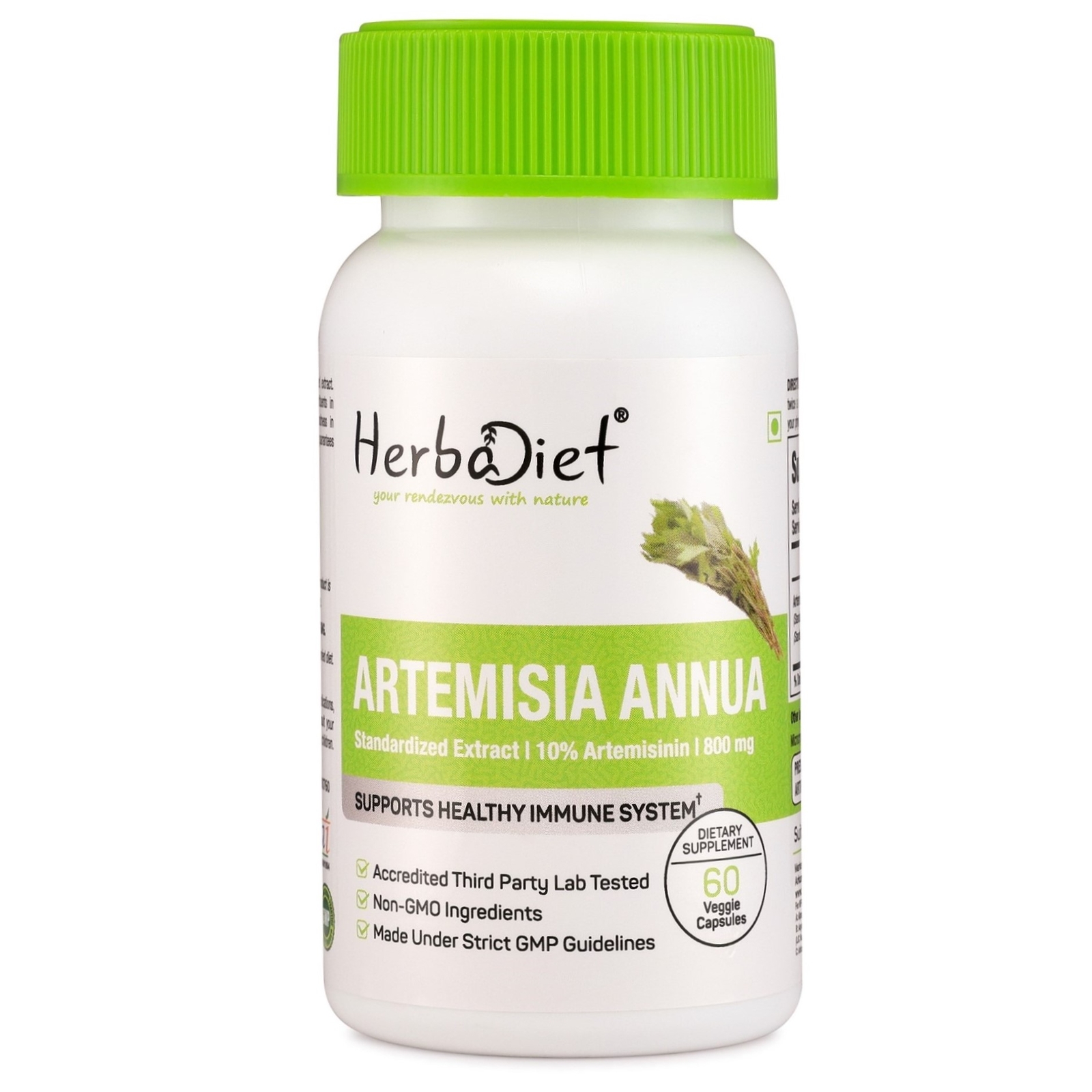 Artemisia Annua Extract Capsules POTENT Builds Immunity For Intestinal Worms