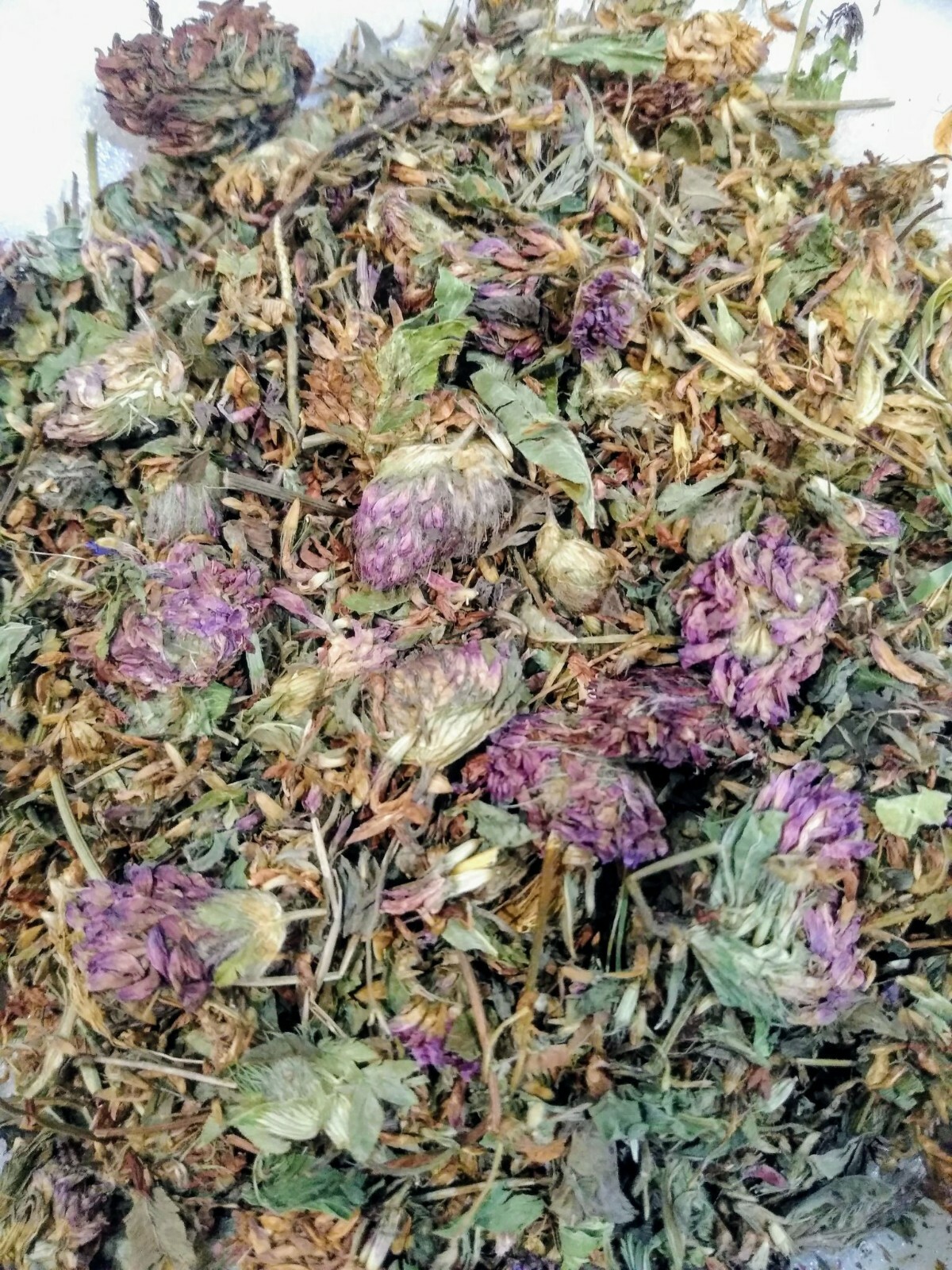 Red Clover Whole Dried Tops (Trifolium Pratense) 1oz, Organic
