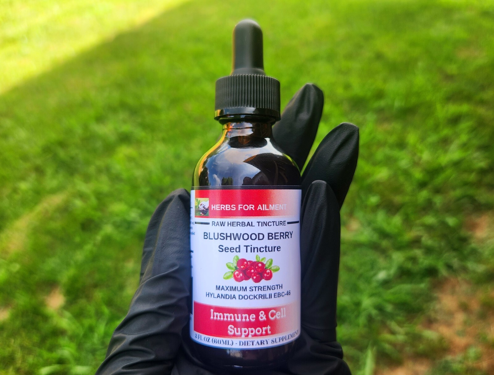Blushwood Berry EBC46 Tincture/Immune/Cell Support/Oral/Topical/Alcohol Free