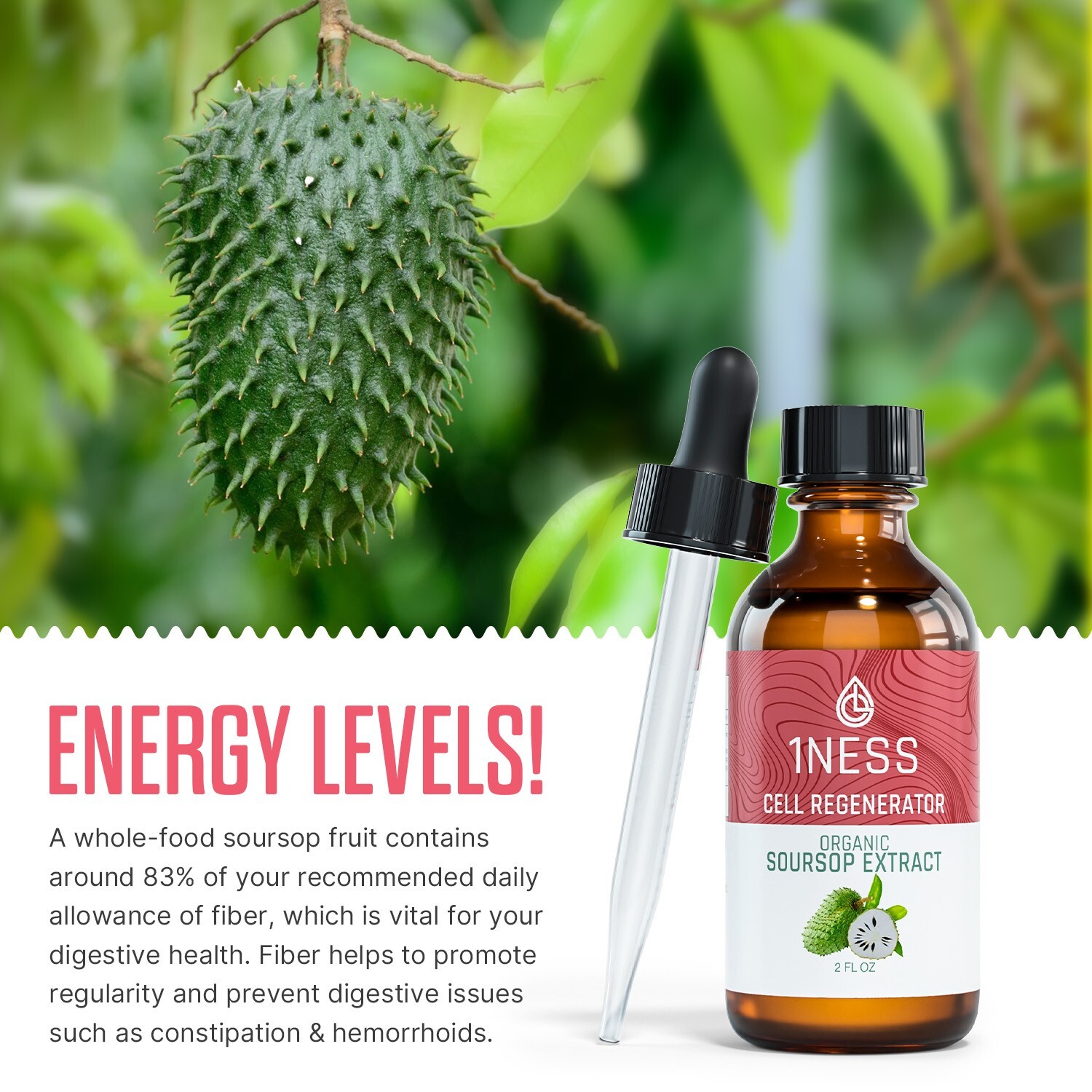 Soursop Bitters Liquid Drops Extract – Digestive & Constipation Support (2oz)