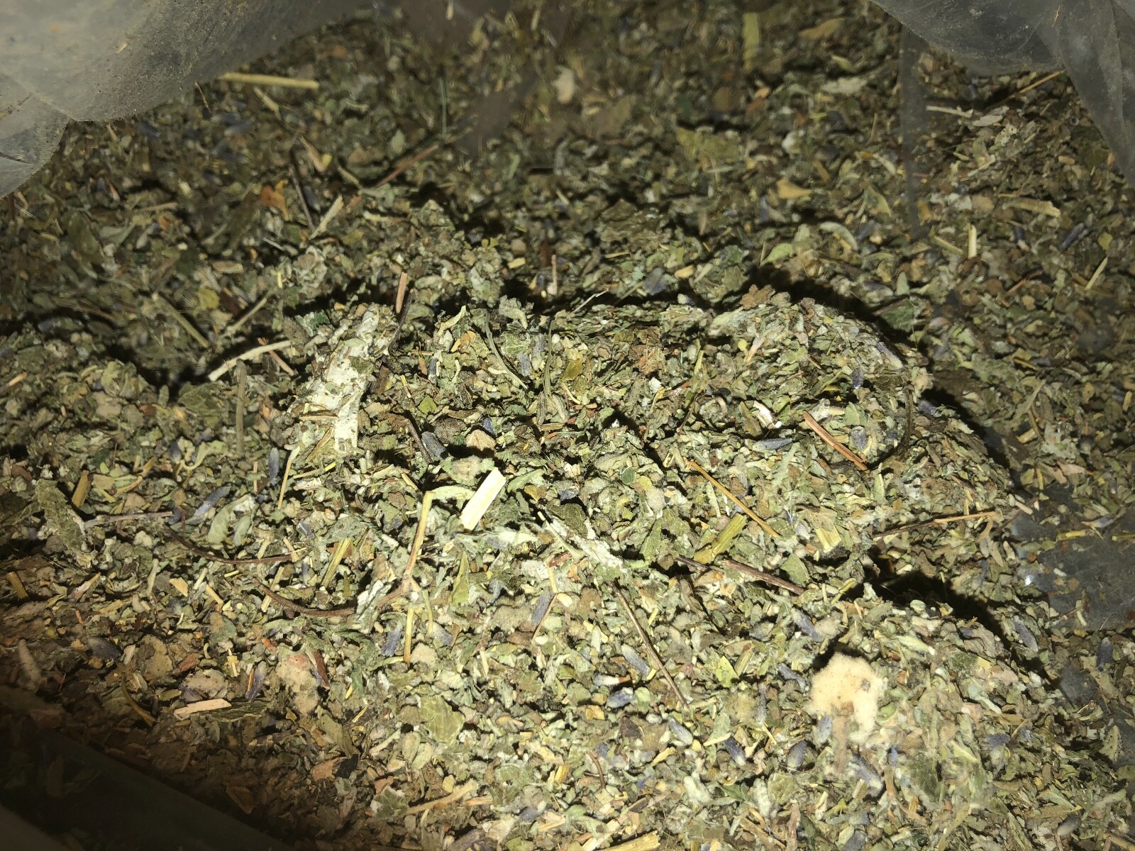 No.21 Mix – Damiana Raspberry Lavender Passionflower Mullein Horehound – 4 oz’s