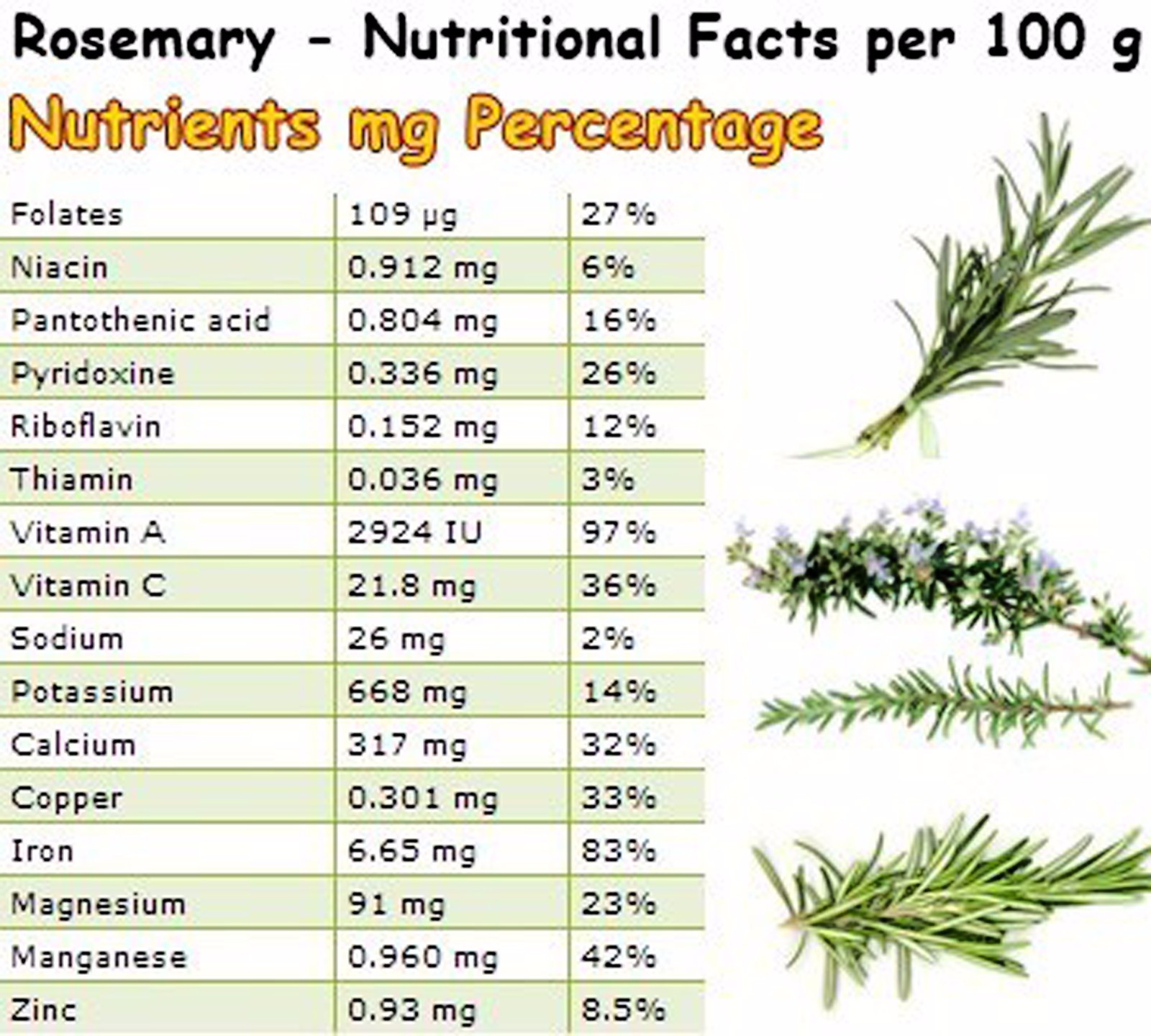 Organic Dried Rosemary Leaf Whole Bulk free Shipping Romero