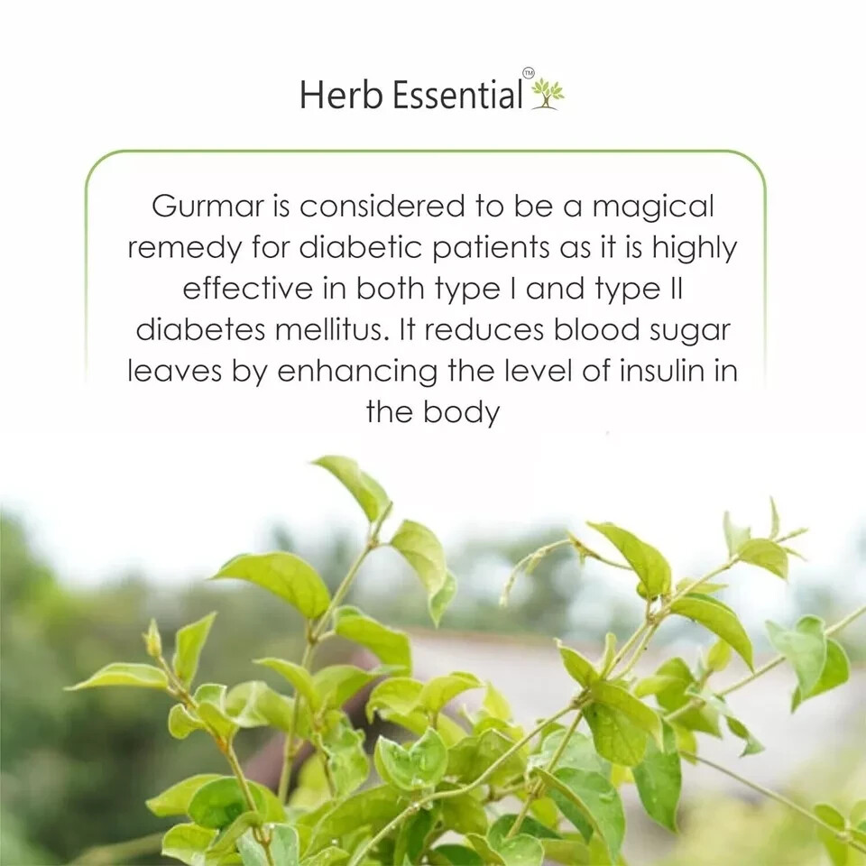 Organic Gymnema Sylvestre Powder Blood Sugar Control Weight Loss Herbal Gurmar