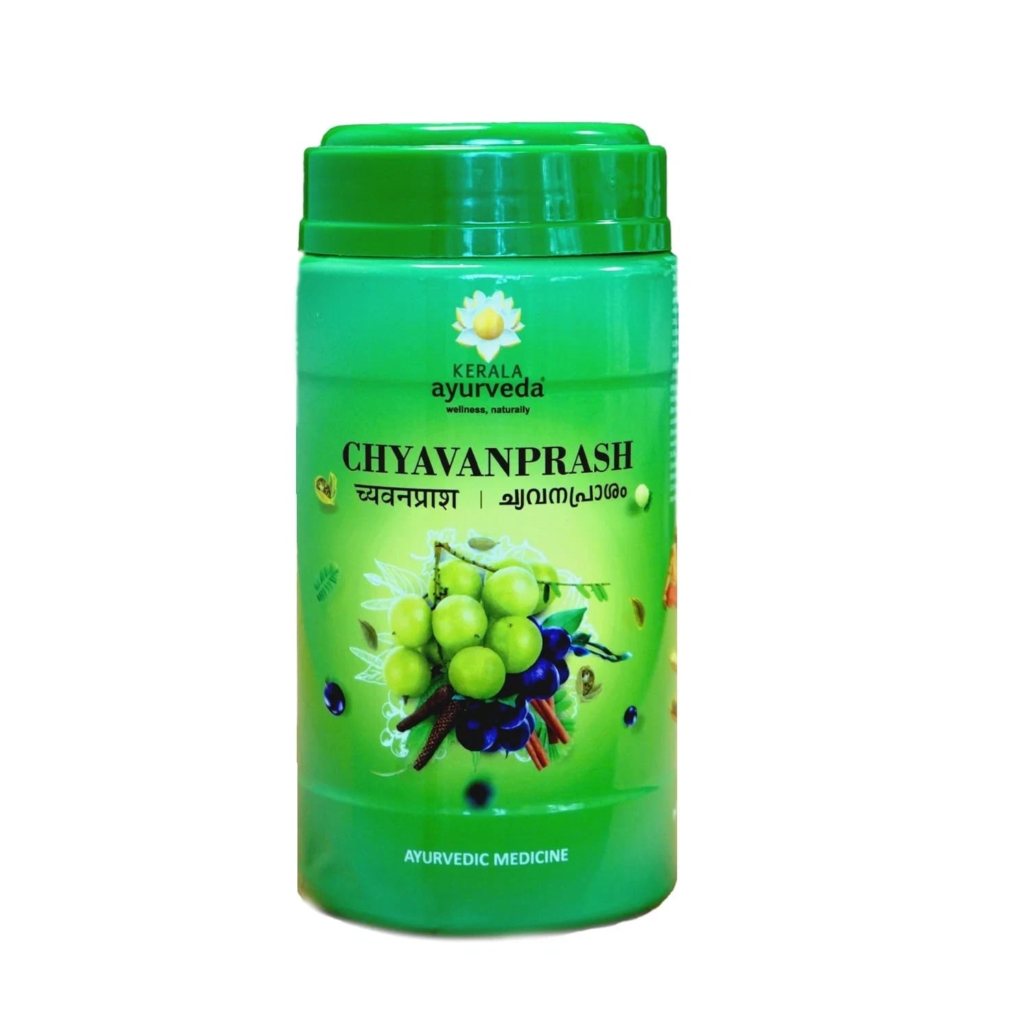 Kerala Ayurveda Chyawanprash 800g | Amla Giloy Ashwagandha Shatavari | Herbal