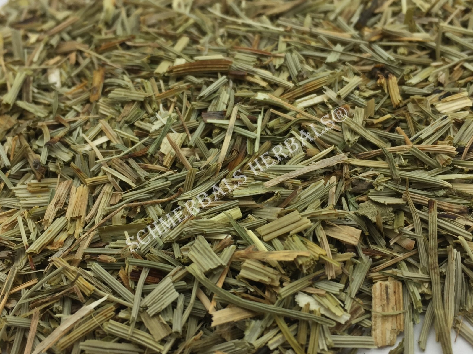 Horsetail, Equisetum arvense, All Natural ~ Schmerbals Herbals