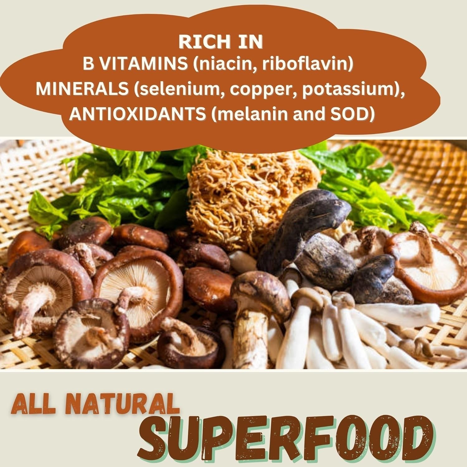 Organic 7 Mushroom Blend Powder – Superfood for Cognitive Boost & Vitality