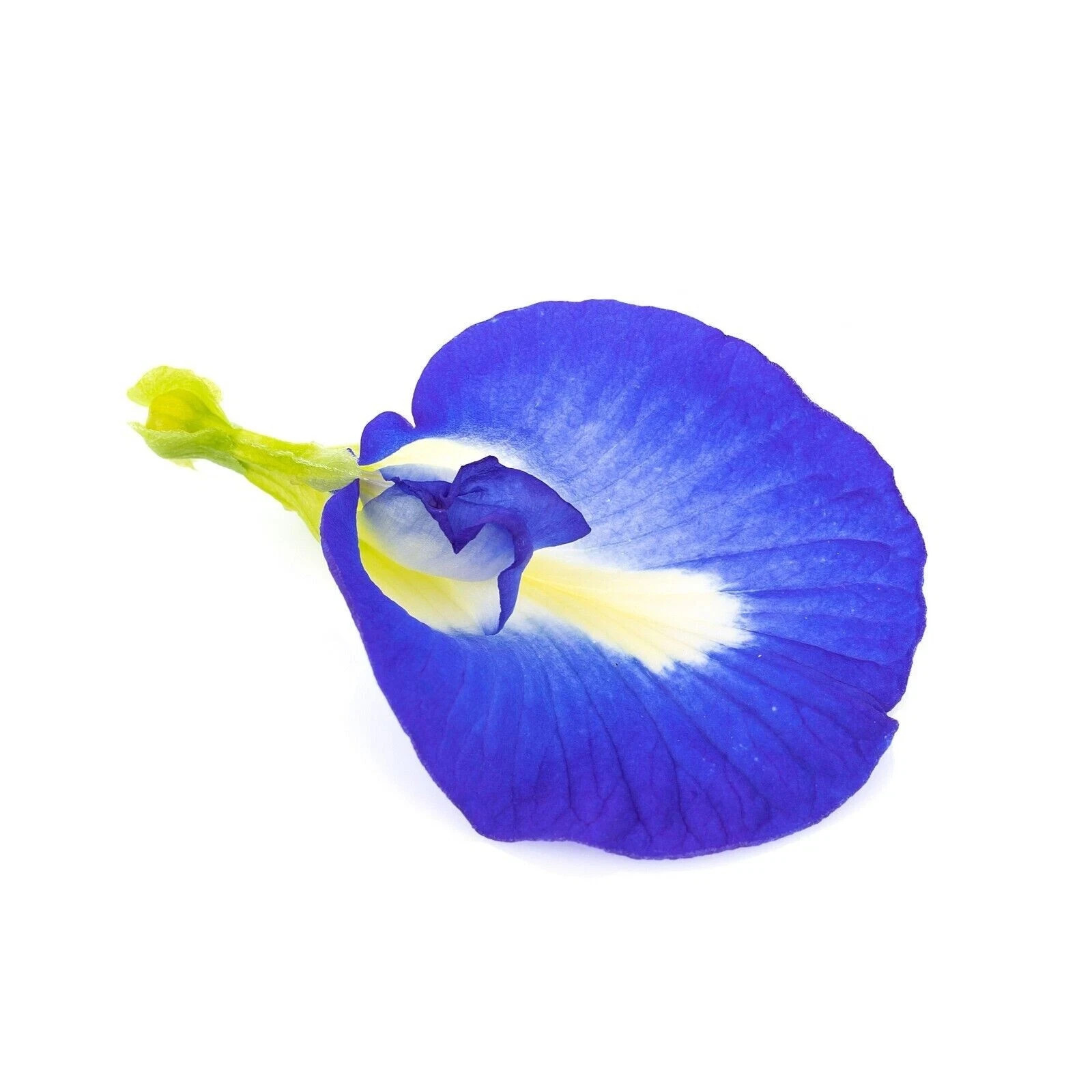 30g Dried Butterfly Blue Pea Flowers Tea-100%Pure Natural Organic Healthy Drink