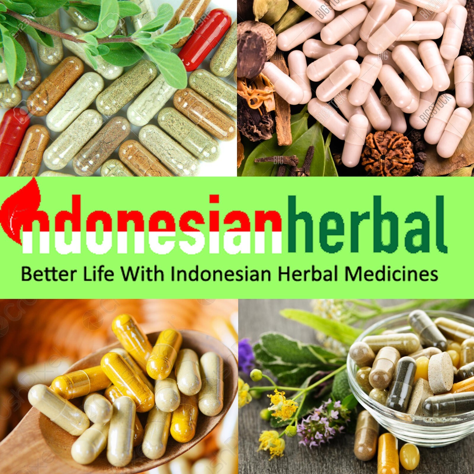 [idHerb] Capsule Pure Sambong Leaves /Sembung /Ngai Camphor (Blumea Balsamifera)